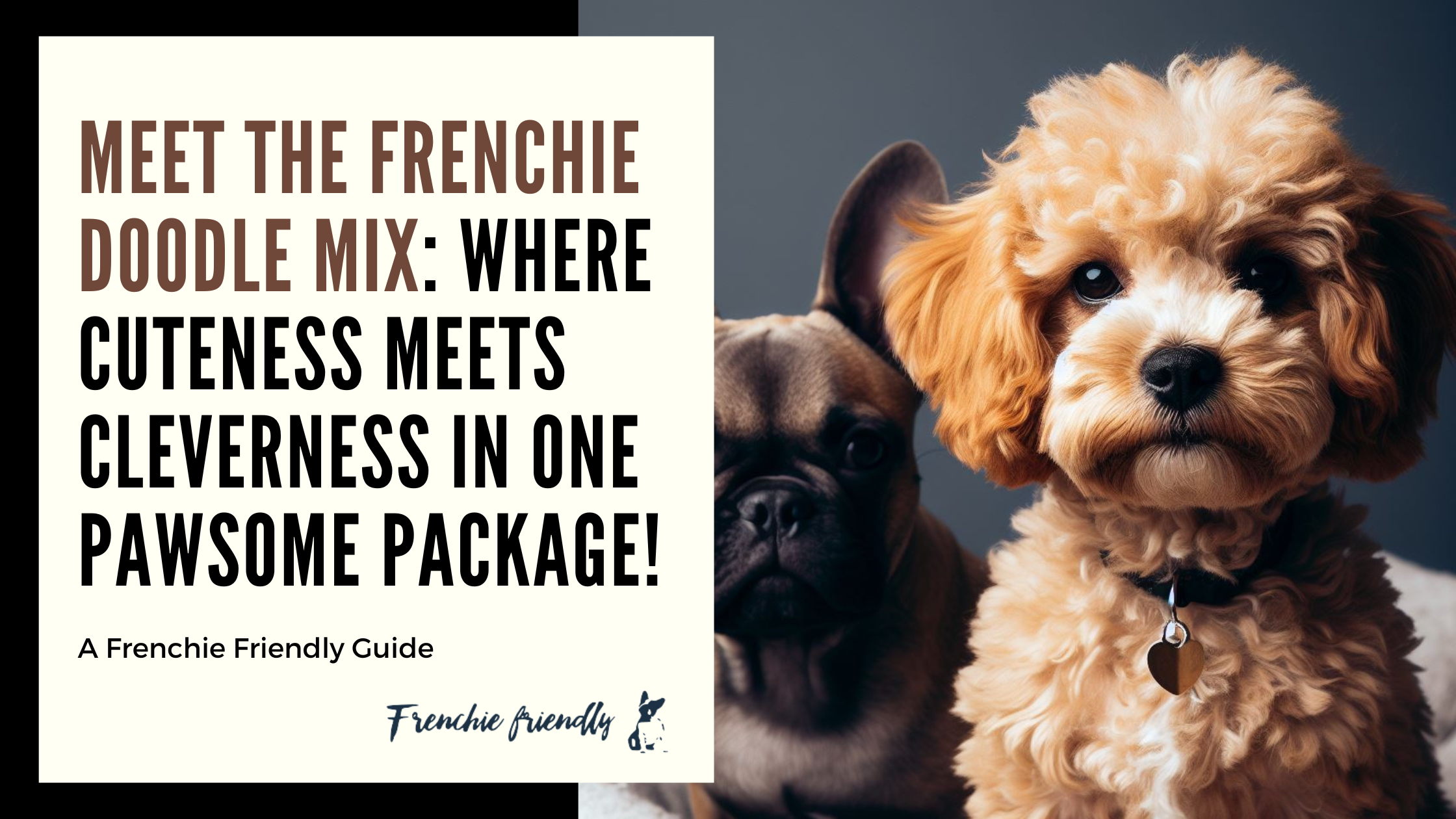 Frenchie Doodle Mix