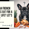 What can French Bulldogs eat